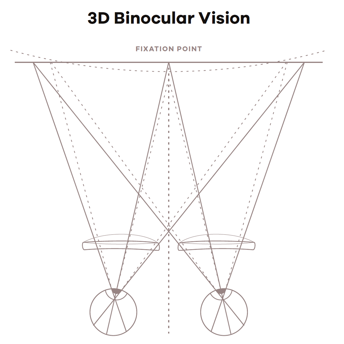 2024-3D-Binocular.png